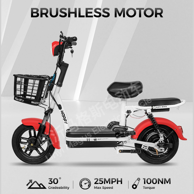 Fabricante de automóviles eléctricos príncipe venta directa bicicleta eléctrica para adultos coche de batería doble bicicleta de dos ruedas de alta duración