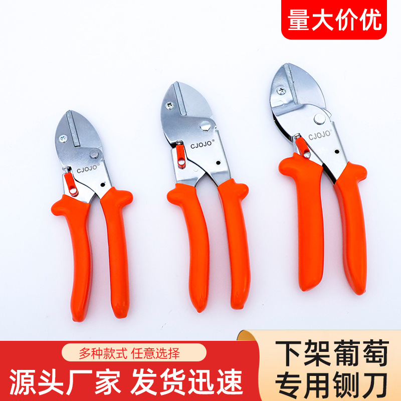 cjojo修枝剪葡萄采果剪果树粗枝剪刀园艺花卉专业树枝剪刀批发