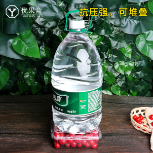 Disposable Transparent Fruit Packaging Box with Lid 0.5kg Watermelon Packaging Box Cherry Tomato Plastic Portable Fruit Cut Cloud
