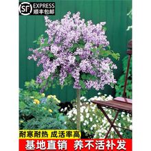 㻨Ե̨ͥԺ҃ļͺGֲ϶㻨