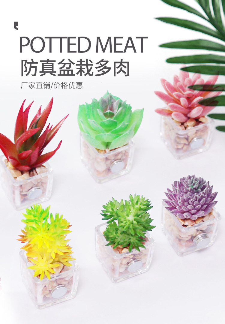 防真盆栽多肉_01.jpg