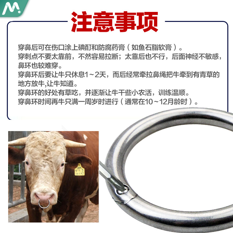 Anillo Nasal para Ganado, Banda Nasal para Ganado, Herramienta de Tracción Nasal para Ganado, Anillo Nasal de Acero al Carbono, Redondo Perforado.
