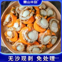 特大号扇贝肉现剥无沙新鲜海捕全贝肉贝类海鲜水产一整箱包邮鲜冻