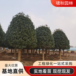 �𻨘����ļ������~���½�𵤹��ļ���ͥԺ�G���ļ������׳ɻ��