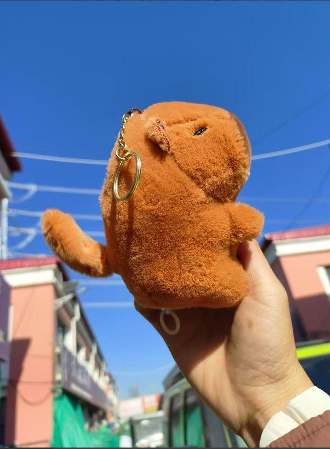 꼬리를 돌리는 카피바라