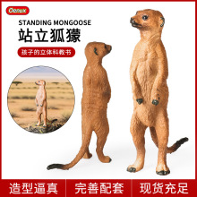 �羳��ͯ��߷��挍��Ұ������ģ�ͺ��B؈�������꼚β�B�J֪�[��