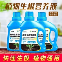 批发艾尚棵植物生根液生根粉园艺家用花肥料营养液移栽爆根液体