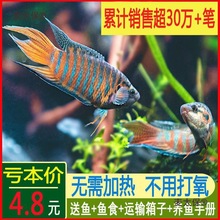 �Ї����~���w���~��ˮ��ˮ�^�p�~���B�ͻ���~С�����_�~����̫��