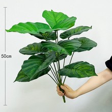 ~滨֦廨ֲ֦쾰bWLپGֲ֦