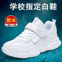 小白鞋男男童2023春秋儿童白色运动鞋小孩子学生白中大童板鞋代货