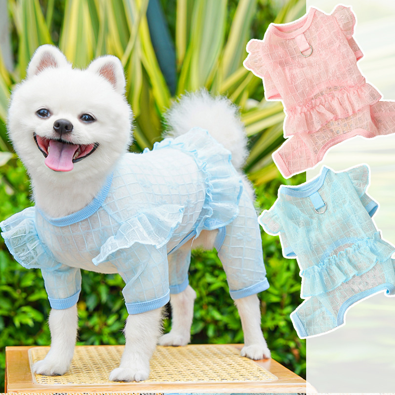 오리지널 네발옷, 애견옷, 강아지옷, 고양이옷, 레이스 메쉬 스커트, 바지, 국경비