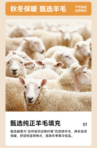 New Wool Blanket Three-Proof Super Soft Constant Temperature Spring and Autumn Winter Cover Core Anti-Piercing Thick Warm Blanket Wholesale