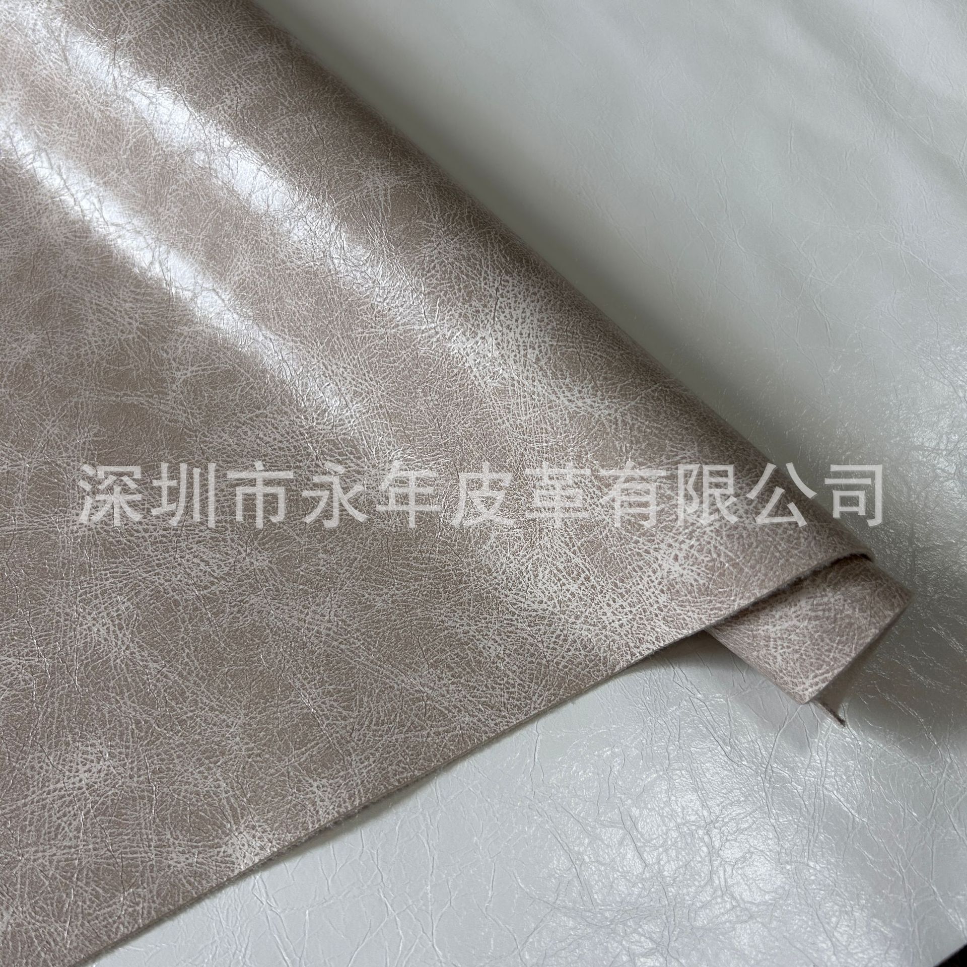 ë׸ƤǮִ͹1.0ƤpuƤ