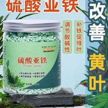 ���၆�F�������Է���ͨ�������򻨻��a�F���ʶ��N���d�ӻ���1