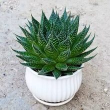 ����ֲ�ﲨ¶�J�C���҃ȿ͏d�̨���^���B�o��ˮ�����_������