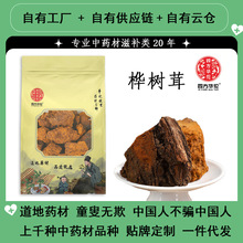 中药材桦树茸 白桦茸 黑金颗粒长白山正品桦褐孔菌桦树泪产地批发