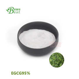EGCG 98%  厂家现货  表没食子儿茶素没食子酸酯  绿茶提取物