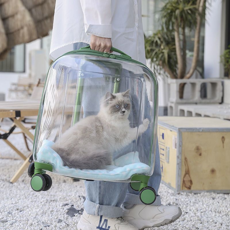 Caja de tracción de mascotas para salir, maleta de gato transparente portátil, dos cajas de transporte de perros de doble capa de gran capacidad