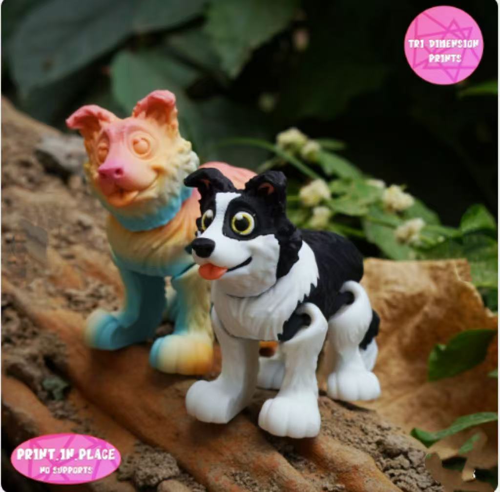 무지개 (색상 랜덤)