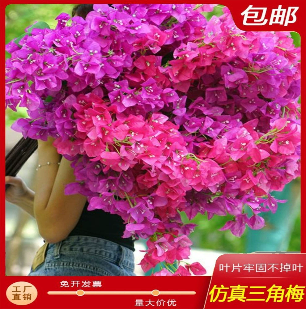 Новый продукт с высокой ветвью бугенвиля имитирует цветочную гостиную