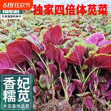 {˷NƷNA~ȫt{˷NļNֲrҝh˷N߲˴ȫ