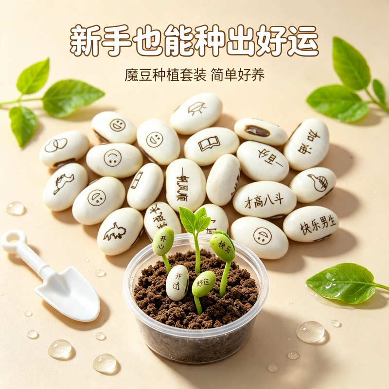 White Bean Love Magic Bean Seed Micro Landscape Display Novelty Mini…