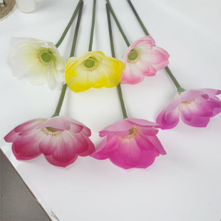 3d��ɻ��Ҿ���ؔ[���쾰�����ɻ��쾰�廨�ļ��¿��������羳