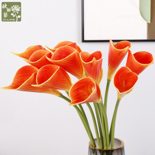 ����PU�R��ɏ��ˇ �҃ȿ͏d����[�O�b� ��c�R��ɏ���滨���l