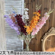 2���w���S�����l���滨�L����2���w��ݻ�c���b��ٻ����滨