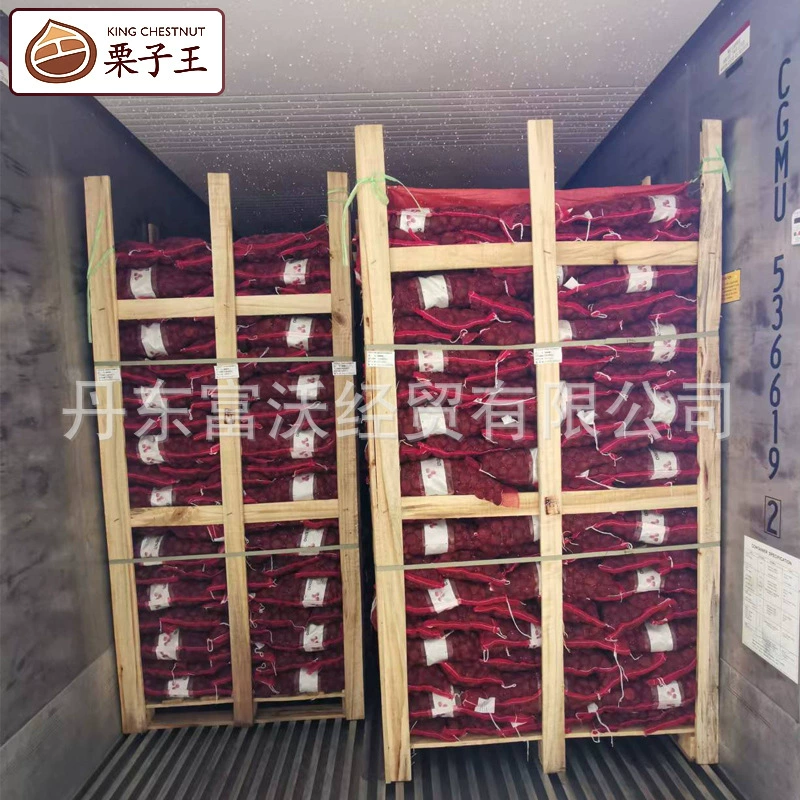 Экспорт свежего каштана Дандунский каштан 30-40/кг 40-60/кг 80-100