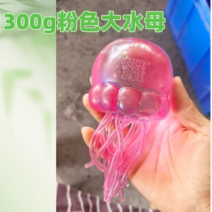 300g�ش�̖���֟o����ѿ�� �������Q��ˮĸ����p����Ʒ ������b