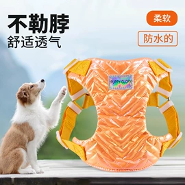 狗狗牵引;狗狗服装;狗狗窝/笼/垫