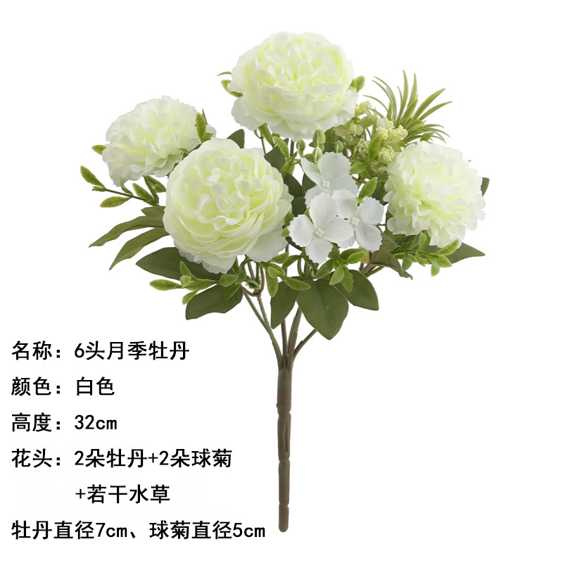 6 장미 모란 흰색