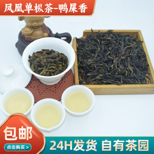 ѩƬ��ʺ���P�˘����~�����ˬ�����خa���²����͞������~