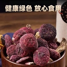 ��ϼt��Ұ���t���{�����t����ȾɫС�˹��t�����b��t��һ�����l