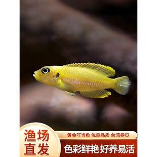 �S�𶣮�����������ؐ���w�~̹���Ꭷ�^�p�~��ˮ���B�ͻ�ˮ�����~