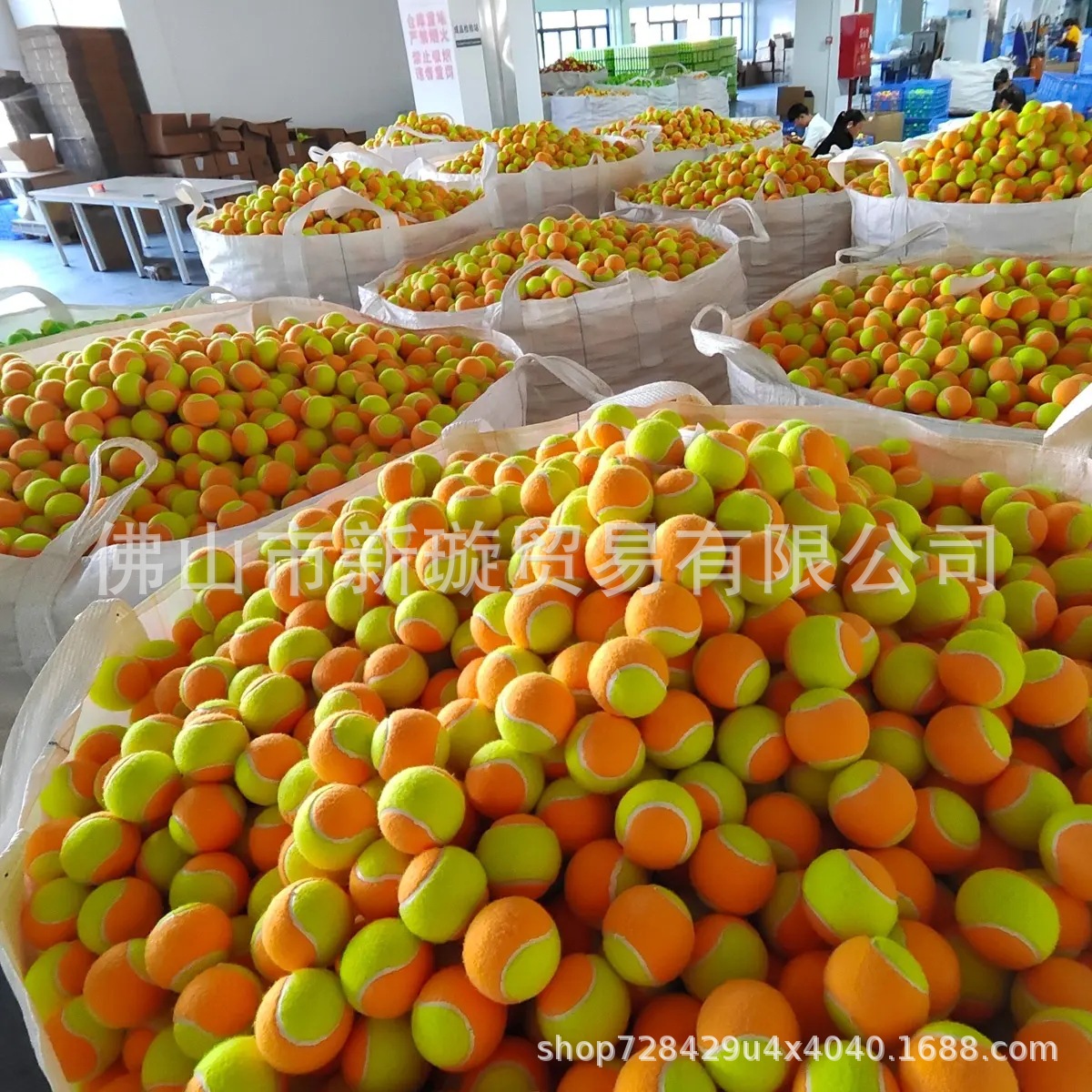 Support documentary beach tennis ITF tennis plate tennis Padel Ball