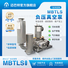 MBTLS鲁式真空泵负压站机气体输送工程水环真空机组造纸印刷