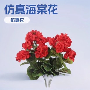 �羳���R�dTemu������N�L���溣�Ļ��ٻ���c�Ҿӿ͏d���ÿ��z��