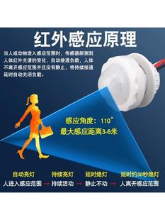 J8 Infrared Sensor Human Body Sensor Low Voltage 36 Switch Probe Radar 24V12V Module Concealed Human Body G3