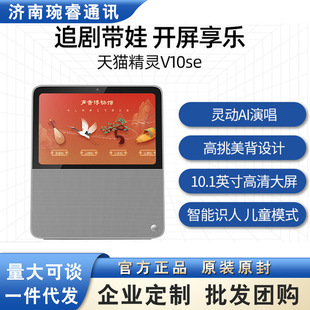 ��؈v10se���`�ǻ���������������10Ӣ���������W���C�m��
