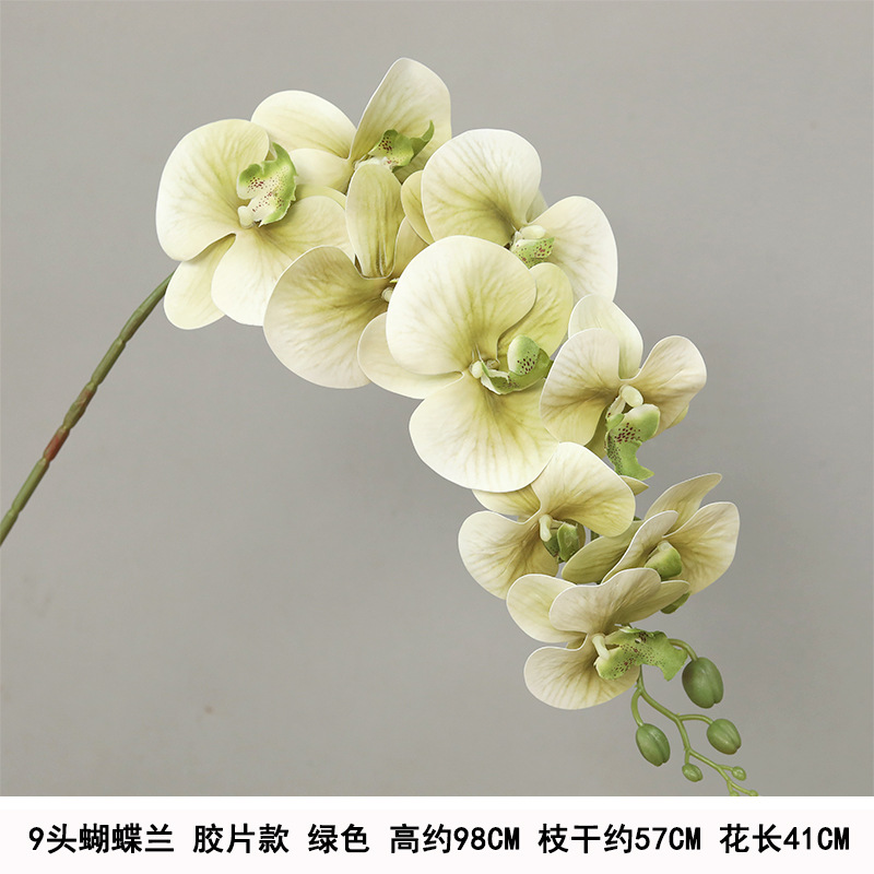 9-head film waterproof phalaenopsis-green "thickened"