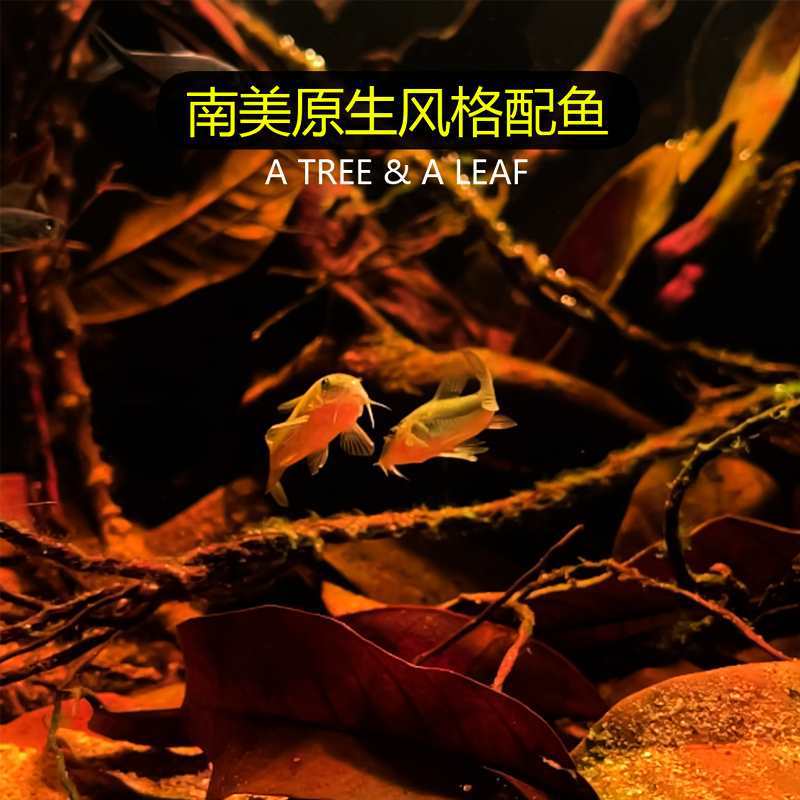 播种机配件勺子盖子调速器透明防护罩电池充电器电机尖轮平轮改装