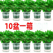 G}҃ȺBȩ՚ˮֲGֲԾGjl