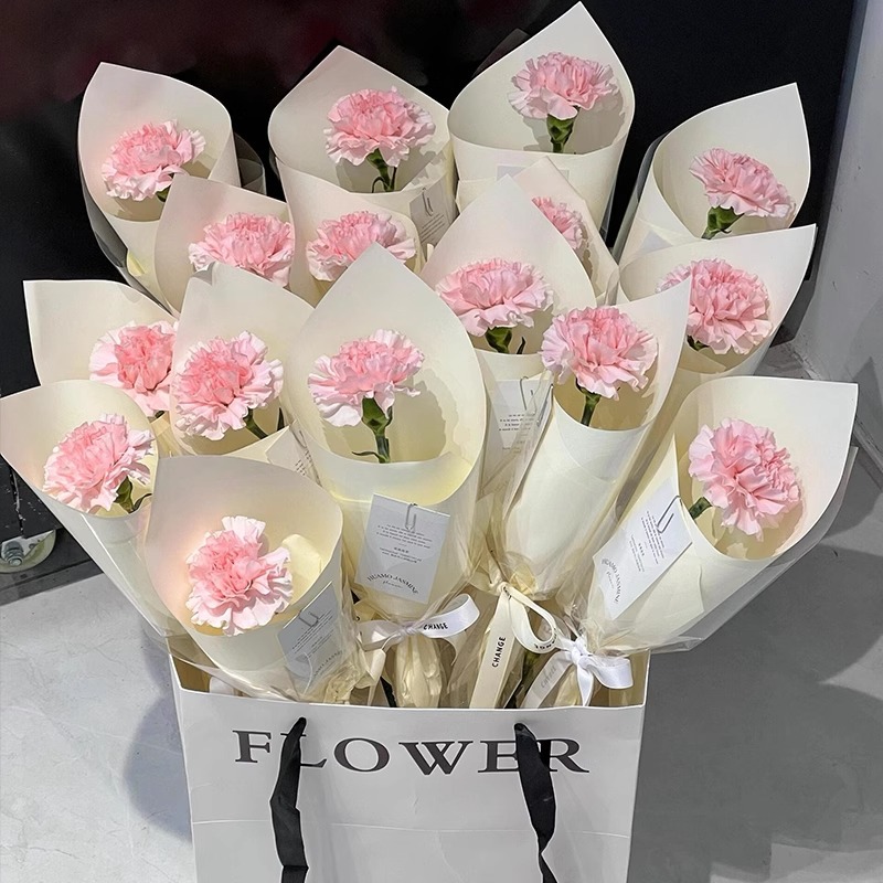 [싱글 핑크 카네이션] 20개 묶음부터 무료