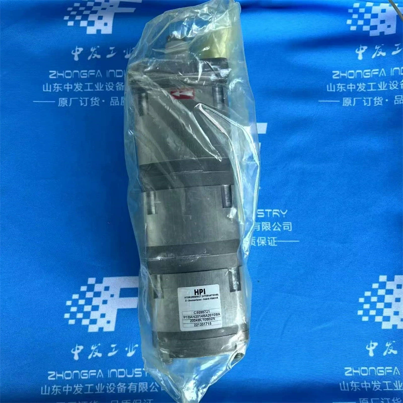 Оригинальный импорт Франция HPI Шестеренчатый насос C5075099 P3BAN1003CL10B01N