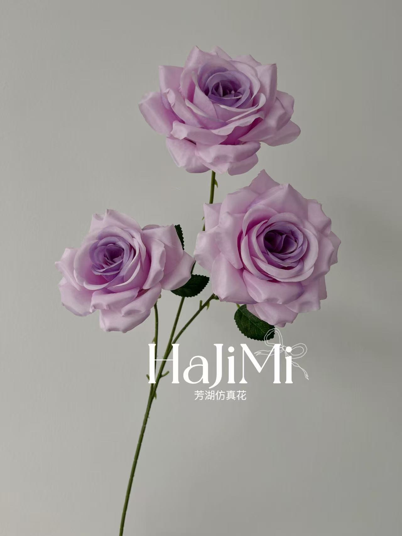 微信图片_20250425173113