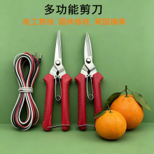 �F؛���P䓈@���廨֦��늹���@ˇժ�����֦������֦��@�ֹ���