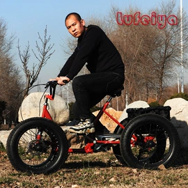 三轮车;电动三轮车;其他电动车