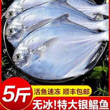 ���r�y�K�~���K�~������rˮ�a�r��~С�K�~���~ƽ�~�K�c�~���~